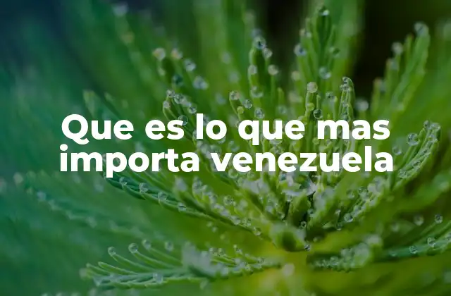 Que es Lo que mas Importa Venezuela