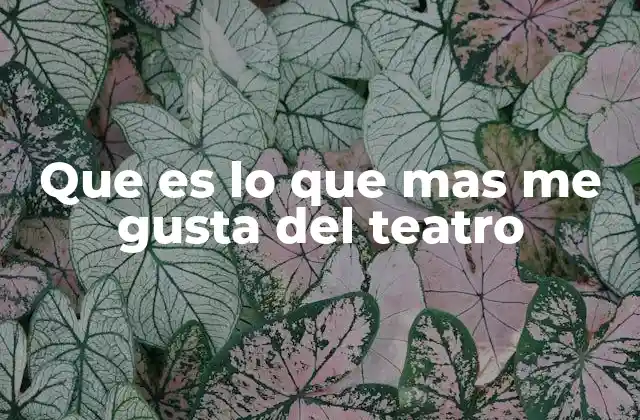 Que es Lo que mas Me Gusta Del Teatro