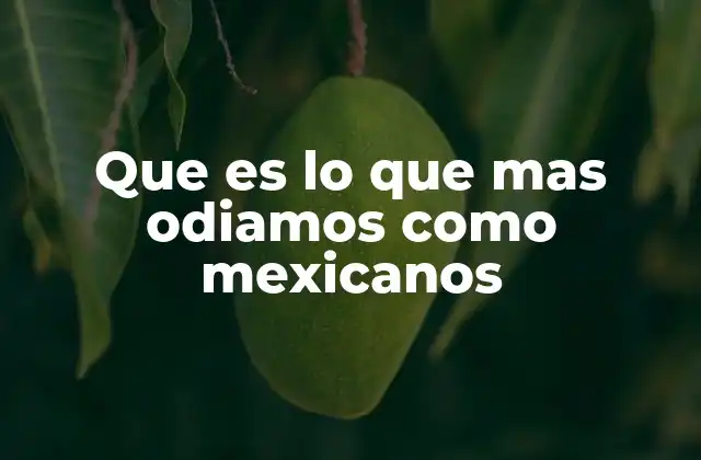 Que es Lo que mas Odiamos como Mexicanos