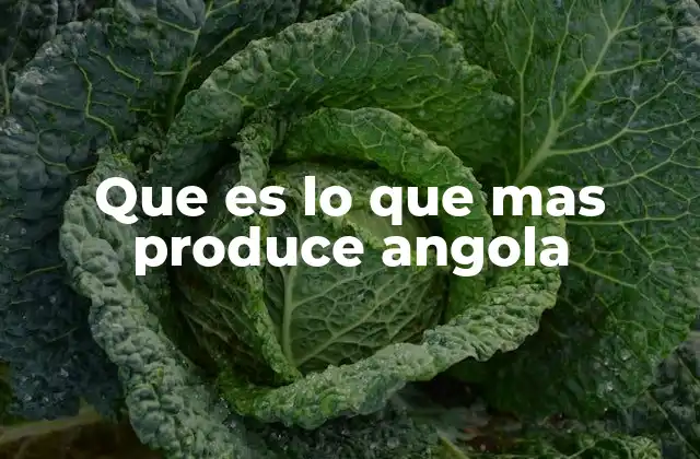 Que es Lo que mas Produce Angola