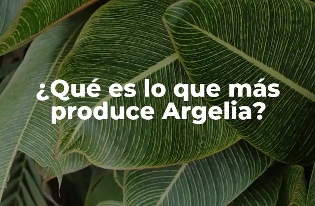 ¿qué es Lo que Más Produce Argelia?