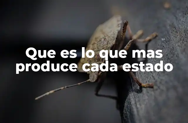 Que es Lo que mas Produce Cada Estado