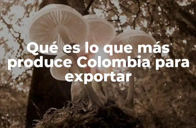 La base productiva de Colombia y su enfoque en la exportación