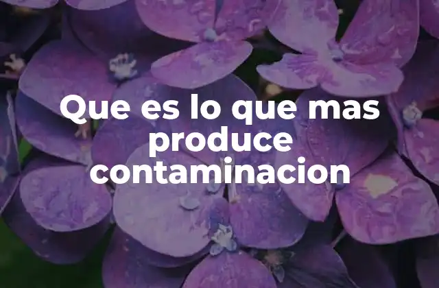 Que es Lo que mas Produce Contaminacion