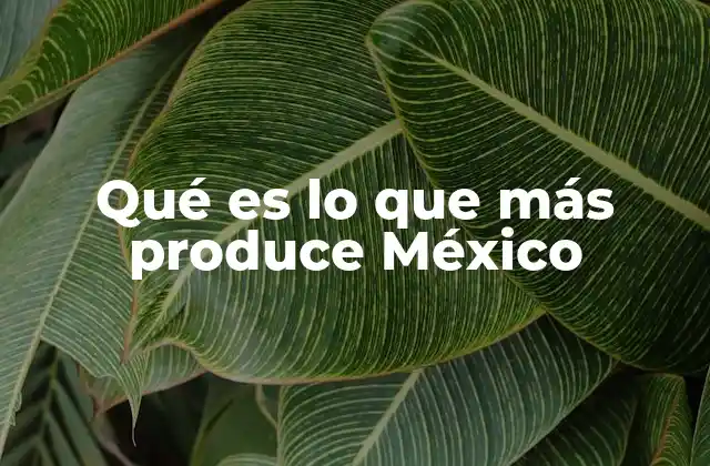 Qué es Lo que Más Produce México