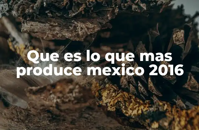 Que es Lo que mas Produce Mexico 2016