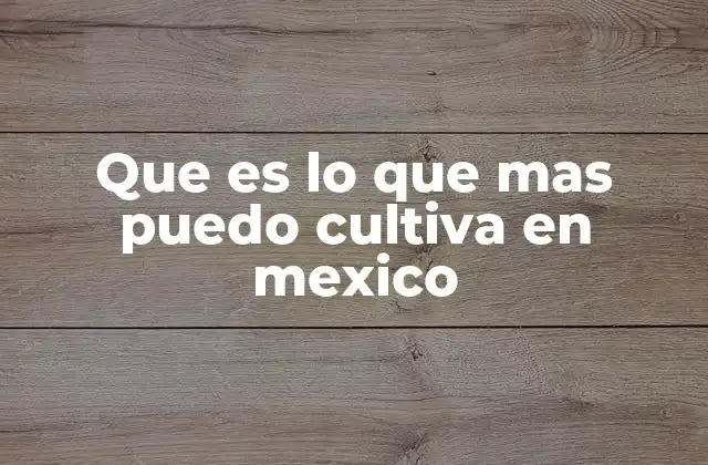 Factores que definen qué cultivos prosperan en México