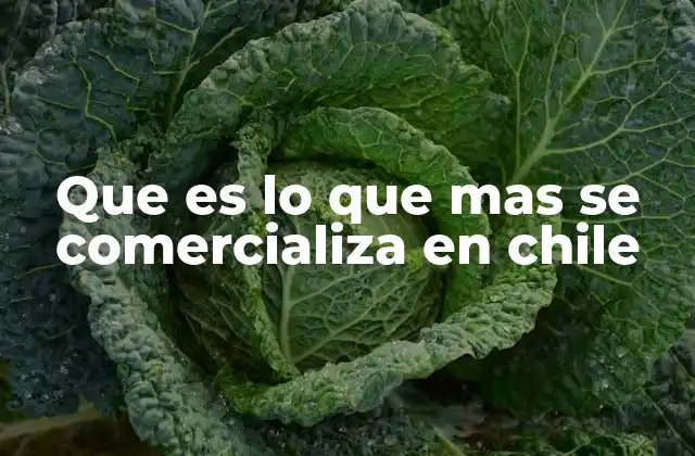 El comercio chileno más allá de los productos tradicionales
