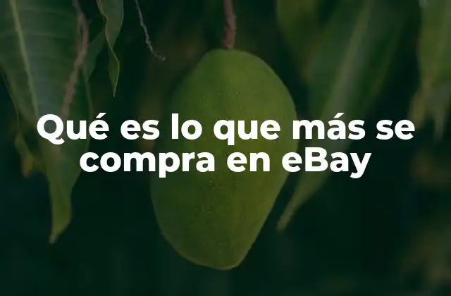 Qué es Lo que Más Se Compra en Ebay