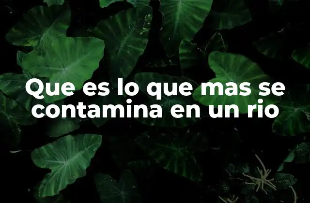 Que es Lo que mas Se Contamina en un Rio