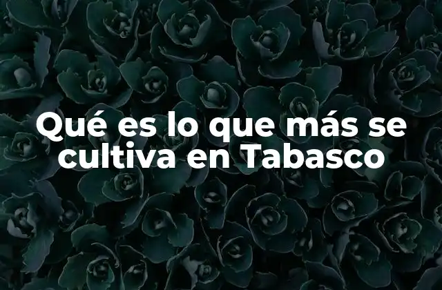 Qué es Lo que Más Se Cultiva en Tabasco