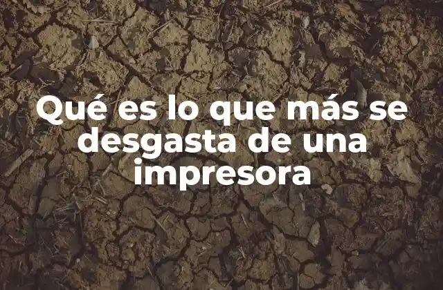 Componentes clave que sufren desgaste constante en impresoras