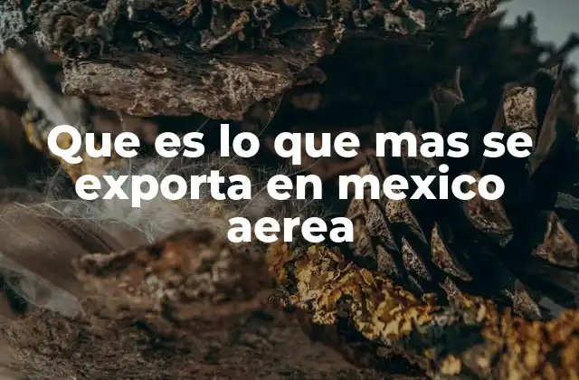 Que es Lo que mas Se Exporta en Mexico Aerea 2 El papel de los aeropuertos en la cadena de exportaciones aéreas