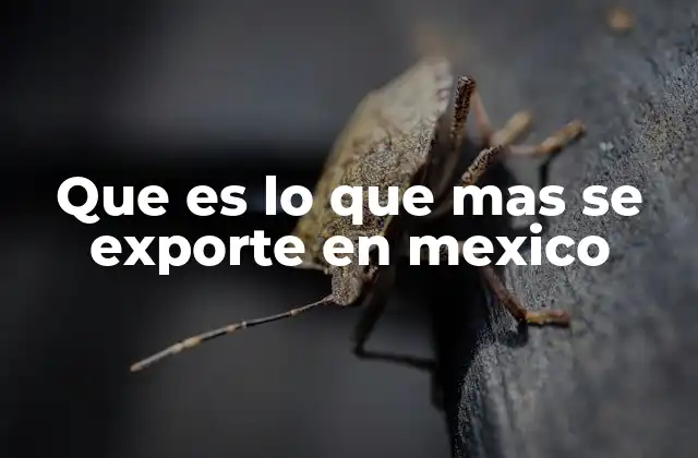 Que es Lo que mas Se Exporte en Mexico 2 El impacto económico de las principales exportaciones mexicanas