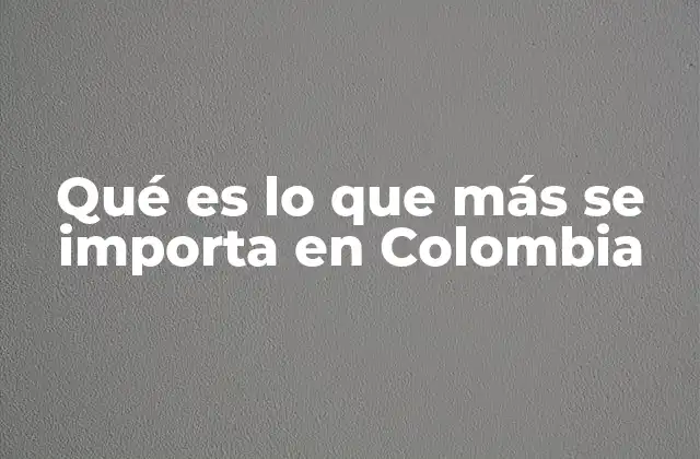 Qué es Lo que Más Se Importa en Colombia