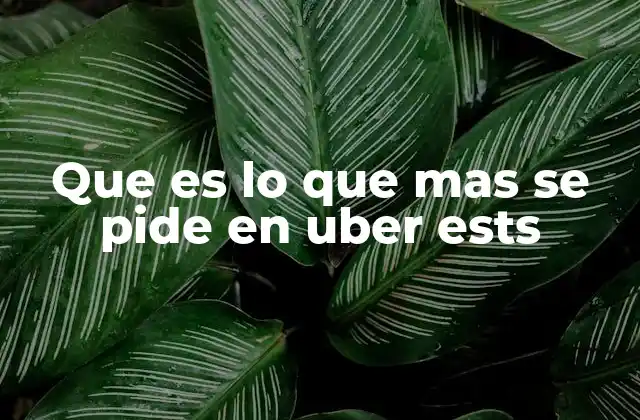 Que es Lo que mas Se Pide en Uber Ests