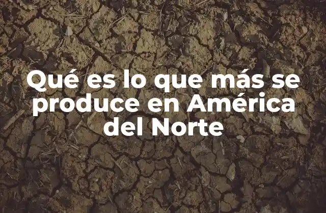 Qué es Lo que Más Se Produce en América Del Norte