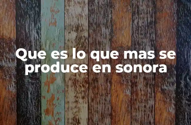 Que es Lo que mas Se Produce en Sonora