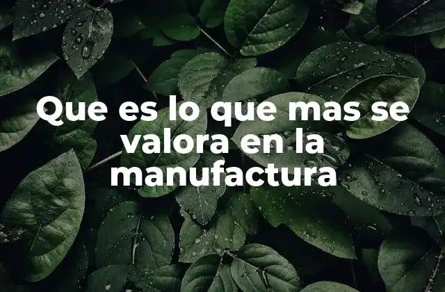 Que es Lo que mas Se Valora en la Manufactura