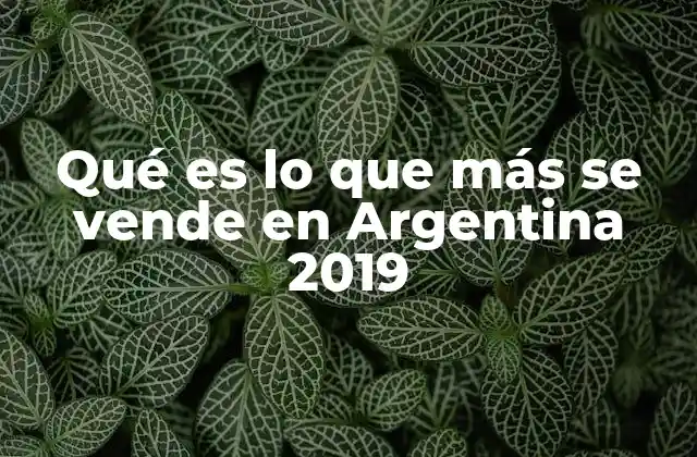 Qué es Lo que Más Se Vende en Argentina 2019