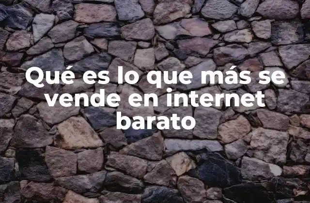 Qué es Lo que Más Se Vende en Internet Barato