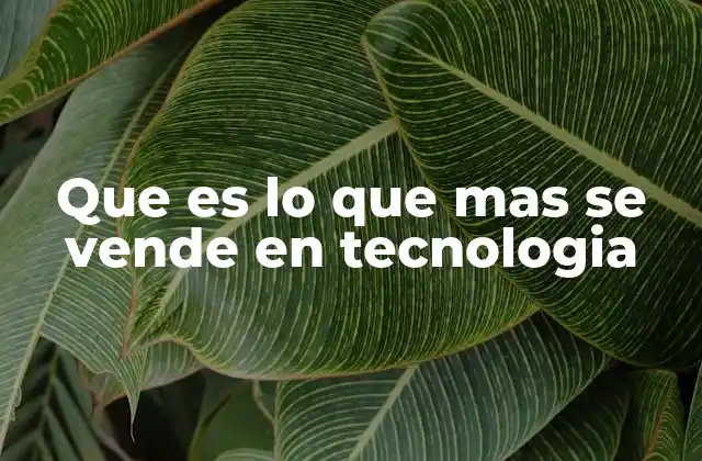 Que es Lo que mas Se Vende en Tecnologia