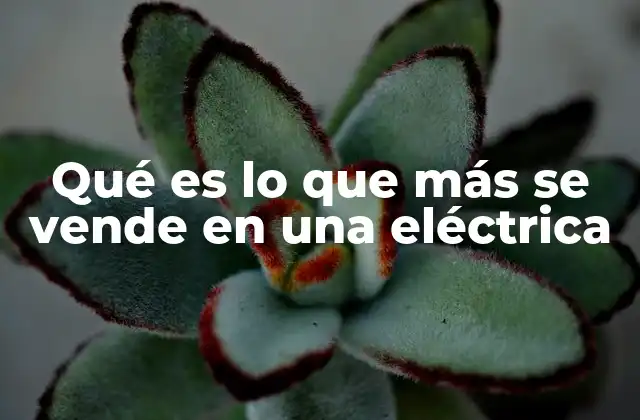 Los productos que lideran las ventas sin mencionar directamente la palabra clave