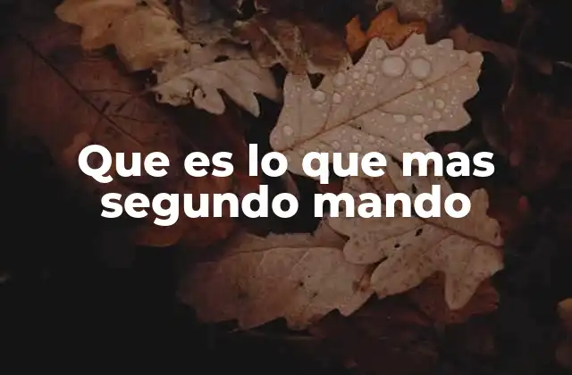 El rol del segundo mando en diferentes contextos