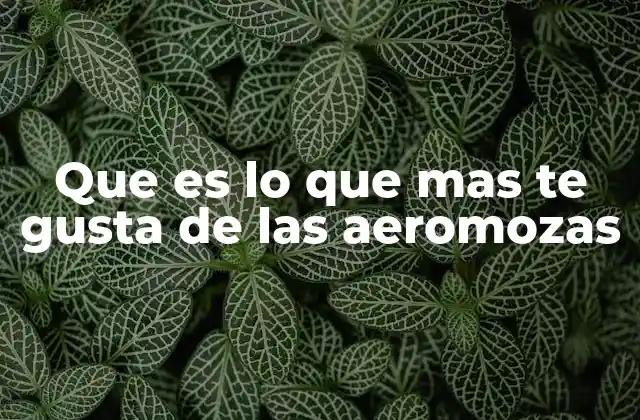 Que es Lo que mas Te Gusta de las Aeromozas 2 La combinación perfecta de profesionalismo y cercanía