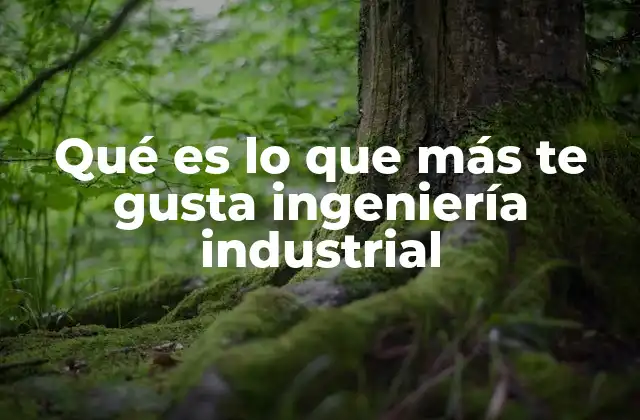 Qué es Lo que Más Te Gusta Ingeniería Industrial