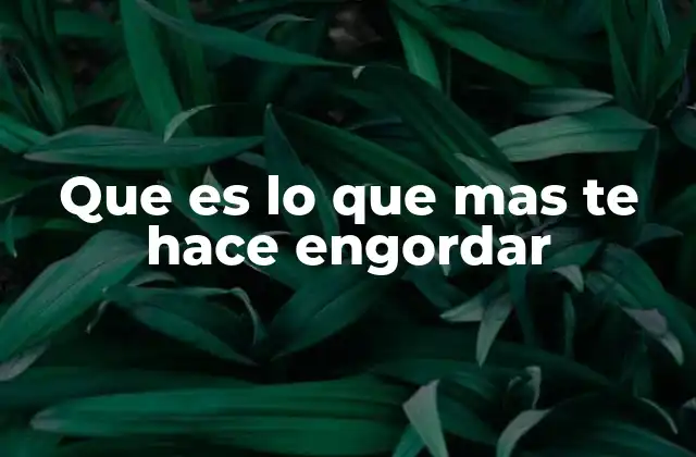 Que es Lo que mas Te Hace Engordar