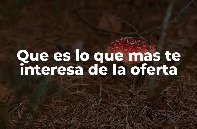 Que es Lo que mas Te Interesa de la Oferta