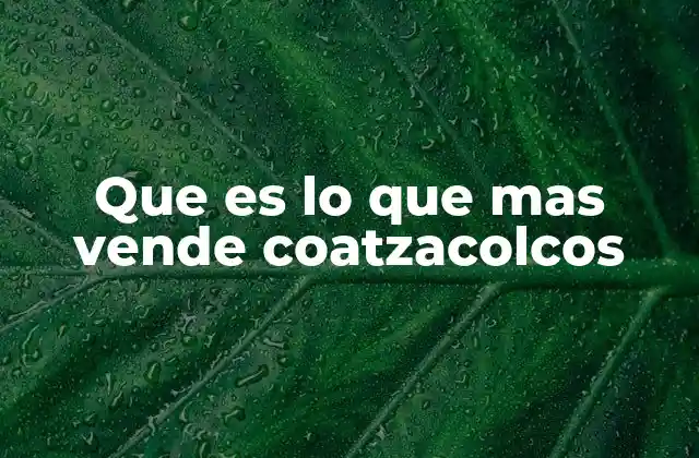 Que es Lo que mas Vende Coatzacolcos