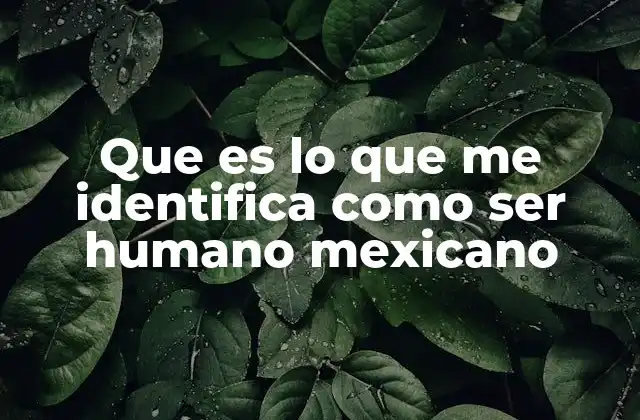 Que es Lo que Me Identifica como Ser Humano Mexicano