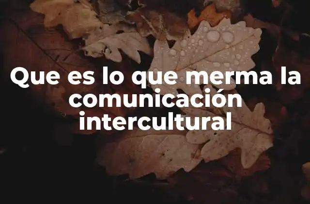 Que es Lo que Merma la Comunicación Intercultural
