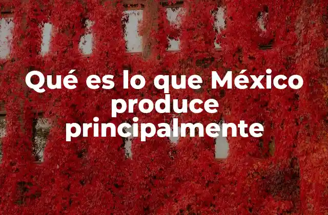 Qué es Lo que México Produce Principalmente