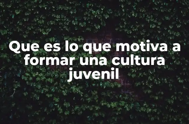 Que es Lo que Motiva a Formar una Cultura Juvenil