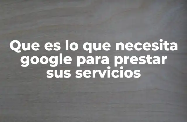 Que es Lo que Necesita Google para Prestar Sus Servicios