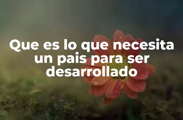 Que es Lo que Necesita un Pais para Ser Desarrollado