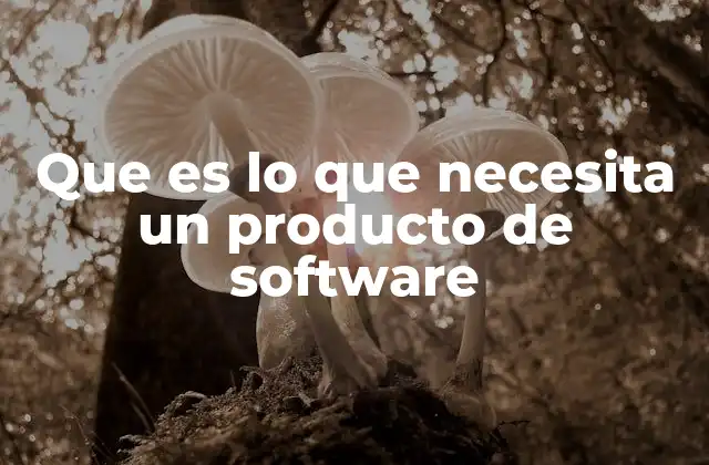 Cómo construir un producto de software centrado en el usuario