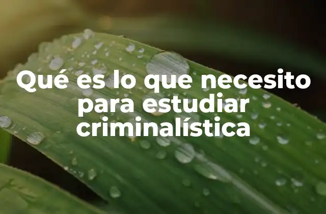 Qué es Lo que Necesito para Estudiar Criminalística