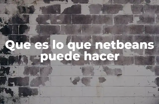 Que es Lo que Netbeans Puede Hacer