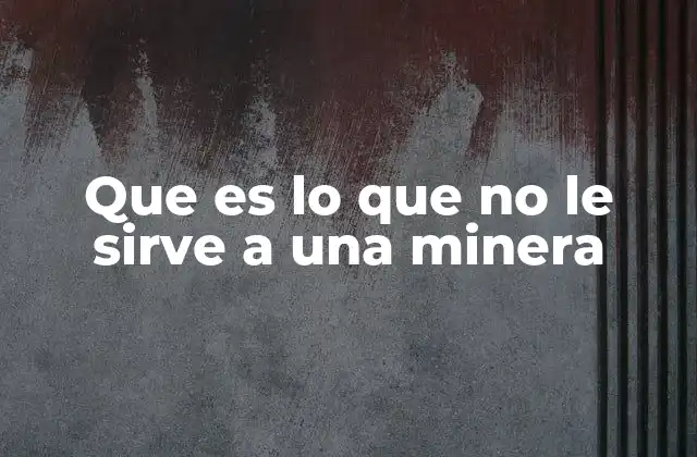 Que es Lo que No Le Sirve a una Minera