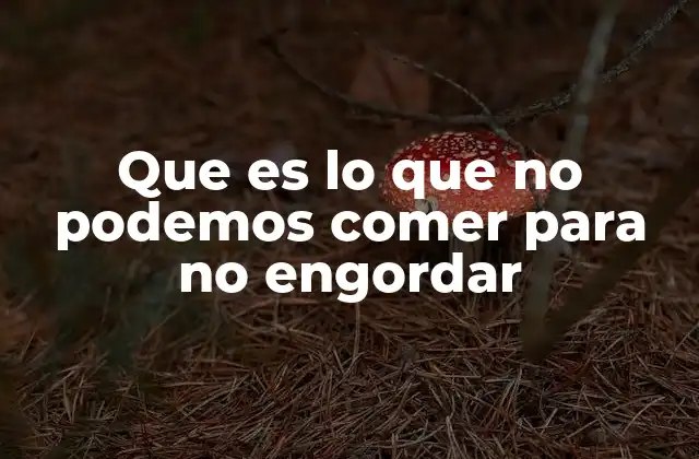 Que es Lo que No Podemos Comer para No Engordar