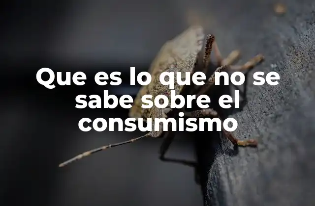 Que es Lo que No Se Sabe sobre el Consumismo