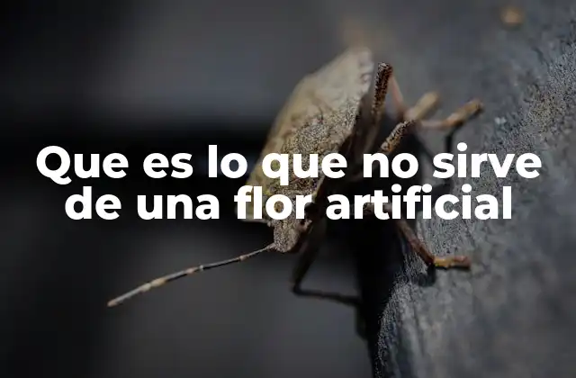 Que es Lo que No Sirve de una Flor Artificial