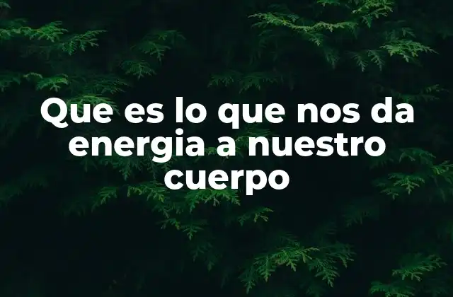 Que es Lo que Nos Da Energia a Nuestro Cuerpo