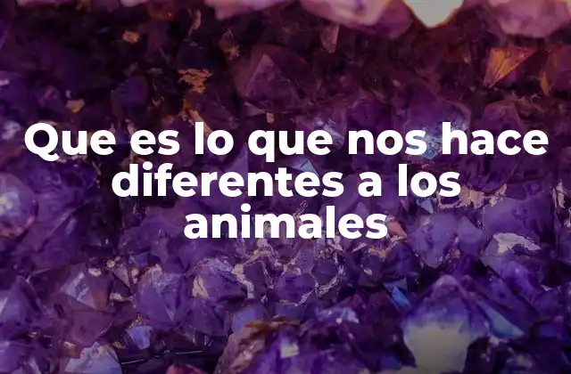 La evolución del pensamiento y la conciencia