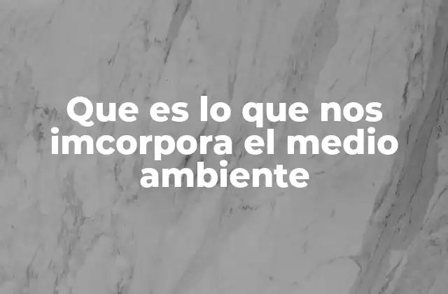 Que es Lo que Nos Imcorpora el Medio Ambiente