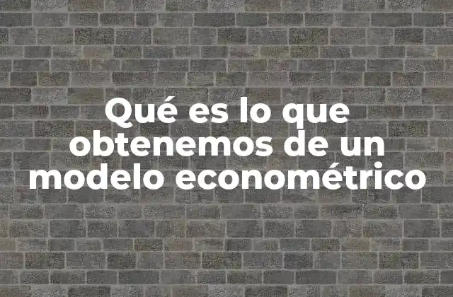 Qué es Lo que Obtenemos de un Modelo Econométrico